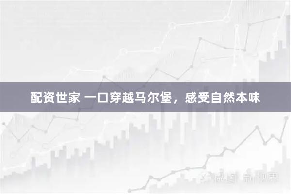 配资世家 一口穿越马尔堡，感受自然本味