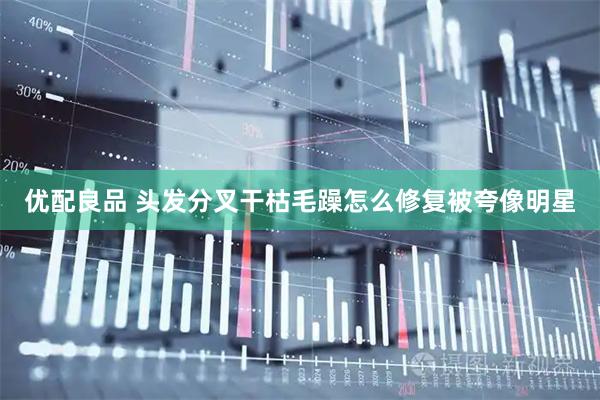 优配良品 头发分叉干枯毛躁怎么修复被夸像明星